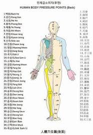 Image Result For Pressure Points To Knock Someone Out