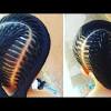 It's the work ethic and pricing that make these braid styles so popular amongst the community. 1