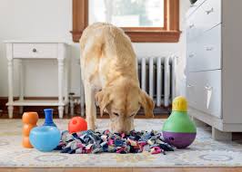 Dog puzzle toys increase iq interactive dog toys interesting not boring puppy treat dispenser for small medium dog pet supplies. Ditch The Bowl Interactive Dog Feeding With Love Oats Connecticut Dog Photography