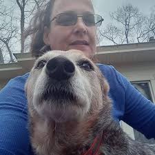 I'm looking for a draft horse trainer in VA… Charlottesville or surrounding  area… TIA