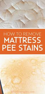 How To Easily Remove Old Pee Stain And Smell From A Mattress In 2020 Pee Stains Mattress Stains Cleaning Pet Urine