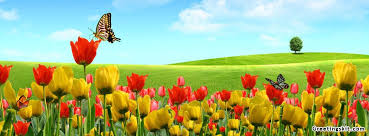 10 hectares of pure nature in the heart of knysna Cute Beautiful Greetingskit Com Part 3 Facebook Cover Photos Flowers Cover Pics For Facebook Facebook Cover