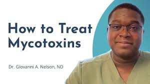 How to Safely Treat and Eliminate Mycotoxins