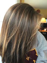 Highlights For Brunette Hair Summer Highlights For Dark Brown Hairhair Coloring Ideas Fall Hair Color For Brunettes Hair Styles Brown Hair With Highlights