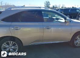 Image result for Satin Cashmere 2011 HS