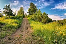 The 20 Best Things To Do In Steamboat Springs In The Summer In 2020 Steamboat Springs Steamboat Springs Colorado Steamboat Spring