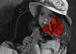 صور ورود رومانسية جديدة تعبر عن الحب عالم الصور colorful backgrounds free iphone wallpaper color splash