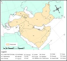 Image result for Lactuca lasiorhiza