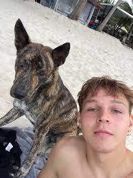 🚨‼️CURRENTLY LOOKING FOR A JOB, please take a minute to read❤️ 🌈Hello  everyone! I am Luis, I am 22 years old and I live in Benissa, Alicante. I  am currently desperately due