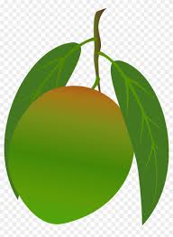 Happy fruit caramelle png image with transparent background. Mango Clipart Food Green Mango Fruit Png Transparent Png 967x1280 2104951 Pngfind