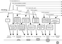 More people die from lung cancer than colon, breast, and prostate cancers combined. Genetic Alterations Of Multiple Tumor Suppressors And Oncogenes In The Carcinogenesis And Progression Of Lung Cancer Oncogene