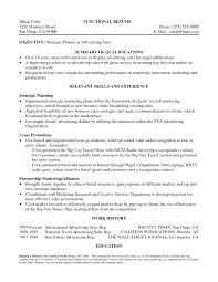 Sample Summary In Resume Sample Summary For Resume Big Samples Of ...