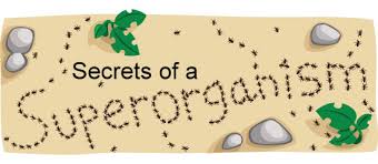 Help order status shipping returns faqs who are we? Ant Colony Ask A Biologist
