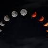 1920×1080 total solar eclipse wallpaper wallpaper lunar eclipse from space wallpaper solar eclipse wallpaper iphone wallpaper eclipse wallpapers eclipse stock photos … Https Encrypted Tbn0 Gstatic Com Images Q Tbn And9gcq Wf 23z1vhjlddjirmaja7o9zw8l1gvsao6dyun P1dxszmev Usqp Cau