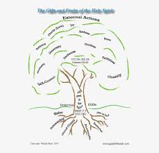 The holy spirit gives the confirmation candidate all 7 of his gifts. Gifts Fruits Of The Holy Spirit Tree Of The Gifts Of The Holy Spirit Png Image Transparent Png Free Download On Seekpng