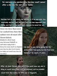 Why Narcissa Wasn T Named After A Star Constellation Or Galaxy Harry Potter Memes Hilarious Harry Potter Puns Harry Potter Funny