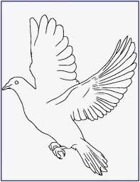 Gambar burung elang paling indah paling hist download now jual burun. 16 Sketsa Gambar Mozaik Burung