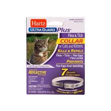 These collars release a toxic gas to kill or prevent fleas from going on your cat. Hartz Ultraguard Plus Flea Tick Collar With Reflect X Shield For Cats And Kittens 1ct Target