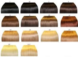 punctual hair extension color number chart in human remy