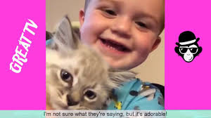 Try Not To Laugh Challenge Funny Cats And Dogs Try Not To Laugh Challenge Best Funny Cat Dog Vines Compilation To Dog Vines Funny Cats Funny Animals