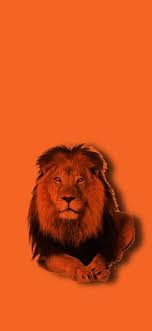 افضل خلفيات شاومي ريدمي نوت9 و 9 اس xiaomi redmi note 9 9s wallpapers wallpaper xiaomi animals