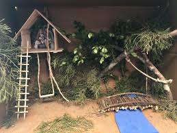 Bridge To Terabithia Project Bridge To Terabithia Homeschool Crafts Novel Studies