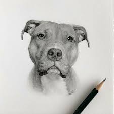 We did not find results for: Artist Makes Realistic Pet Portraits Using Only A Pencil Here Are The Best 49 Works Bored Panda