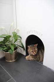 Badezimmer Selbst Renovieren Renovieren Badezimmer Renovieren Und Diy Mobel Selber Bauen