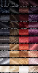 Bremod hair color chart health beauty care on carou. Hair Levels Beauty Lifestyle Wiki Fandom