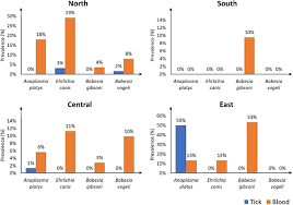 Some people call them feral animals but, they will not live very long because there is usually not enough prey for the. Molecular Detection Of Tick Borne Haemopathogens In Shelter Dogs And Rhipicephalus Sanguineus Sensu Lato Ticks From Peninsular Malaysia Sciencedirect