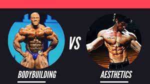 Aesthetic bodybuilders are concentrated on their aesthetic appeal. Bodybuilding Vs Aesthetics Training 6 Differences To Know