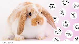 We did not find results for: What Does Cruelty Free Actually Mean