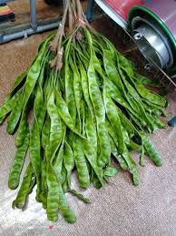 Seeloknya petai yang matanya kasar. Cara Cara Buat Petai Jeruk Homemade Yang Sedap Tak Lembik