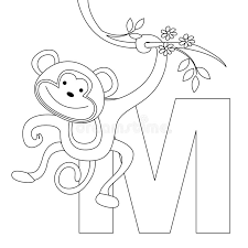 To make the activity reusable, and make the abc printable durable, laminate the pages. Animal Alphabet S Coloring Page Stock Vector Illustration Of Alphabetical Alphabet 9999394