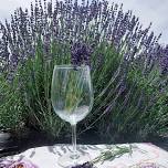 Lavender at Sunset