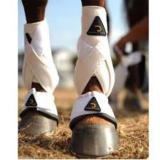 Cactus gears extensive use of high tech materials provides maximum protection against heel bulb, coronet band injuries. Dynamic Edge Boots Size Chart Canabi