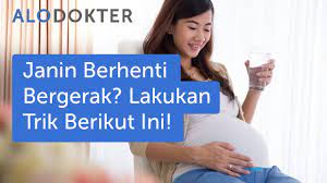 Bayi opick dan wulan ini meninggal dunia dalam kandungan di usia delapan bulan. Janin Berhenti Bergerak Lakukan 6 Trik Berikut Ini Alodokter