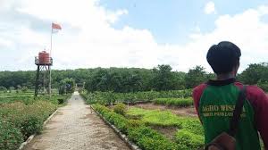Temukan pilihan tempat wisata alam terbaik di bogor, jawa barat. Pkk Agropark Lampung Bisa Makan Buah Gratis Dan Foto Selfie Nuansa Kebun Bunga Halaman All Tribunlampung Travel