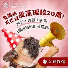 英國凱萊寵物險 一年只要1996元起 門診 手術 住院皆可理賠 寵物侵權責任 最高補償比率達70 醫師證明即可理賠最高20萬 流程介面好操作 愛牠就要買給牠 pets reserved