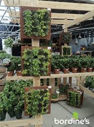 Living Walls Visit Us At Bordines Com Tanaman Kandang Ayam Ayam