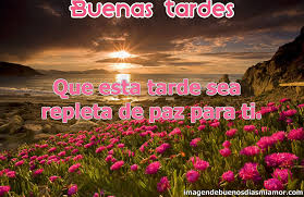 Resultado de imagen para buenas tardes