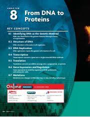 We did not find results for: Bio Ch 8 Pdf Chapter 8 From Dna To Proteins K E Y Co N C E P T S 8 1 Identifying Dna As The Genetic Material Dna Was Identified As The Genetic Course Hero