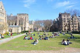 News, events and updates from yale university. Students Are Happy At Yale Survey Shows