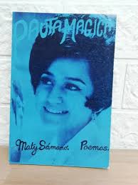 Pauta Mágica/ Mary Samano
