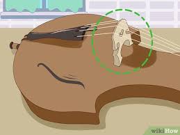 We did not find results for: How To Tune A Cello 13 Steps With Pictures Wikihow
