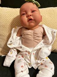 Reine reborn (local pick up preferred)