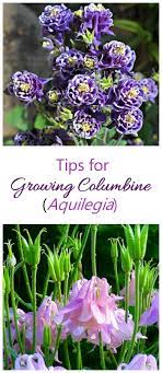 Pin On Gardening Recipes Holidays