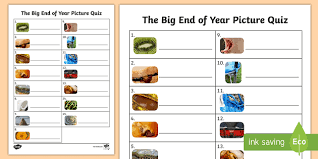 For this round, you can choose to give the point to the closest answer. Ks1 Close Up Image Quiz Printable Worksheet