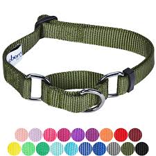 Large Collars For Dogs Blueberry Pet Classic Dog Collar Neck