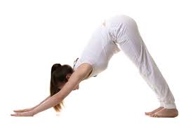 This stretching is a symbol of they want to play or simply, a physical activity. Downward Facing Dog Pose Adho Mukha Svanasana Steps And Benefits Ayur Health Tips
